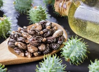 castor oil for beard