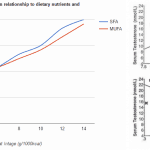fatty-acids-and-testosterone