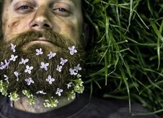 man with a dirty beard with flowers on it