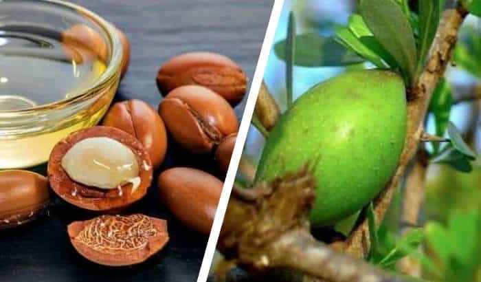 argan kernels and argan fruit